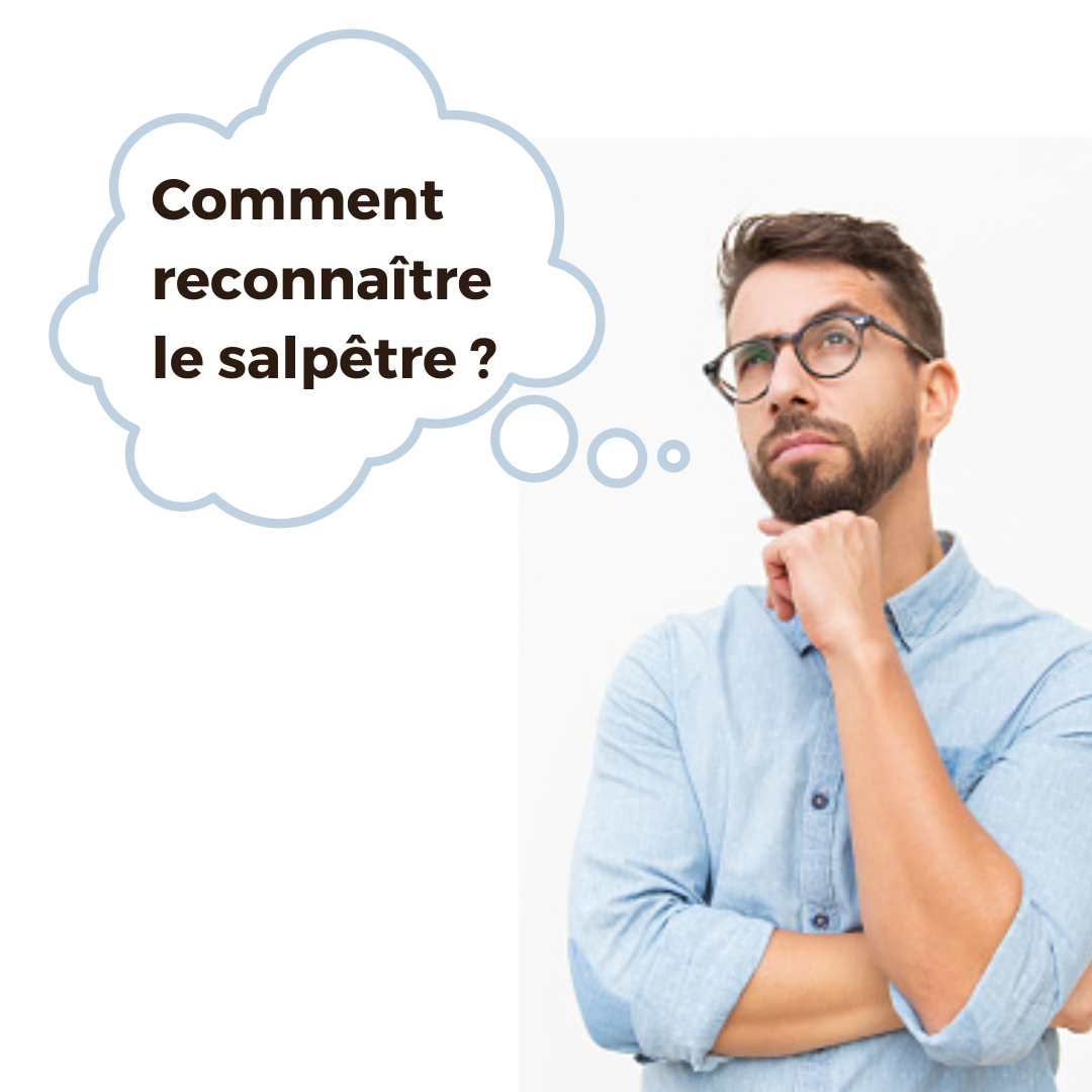 Comment reconnaître le salpêtr ?