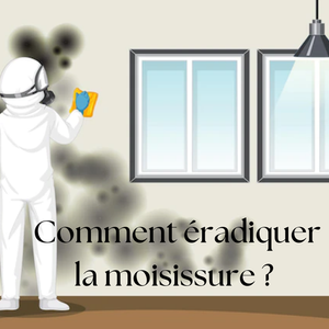  Comment prévenir et traiter la moisissure dans une maison ?