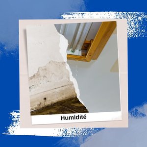 Les dangers de l'humidité excessive dans les appartements en ville