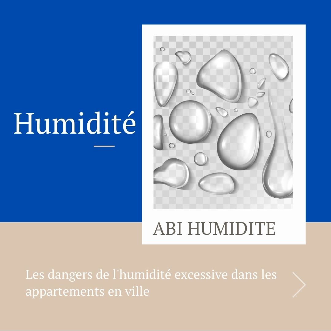 Les dangers de l'humidité excessive dans les appartements en vill