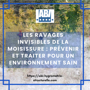 Les Ravages Invisibles de la Moisissure : Prévenir et Traiter