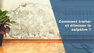 Éliminations et traitements du salpêtre