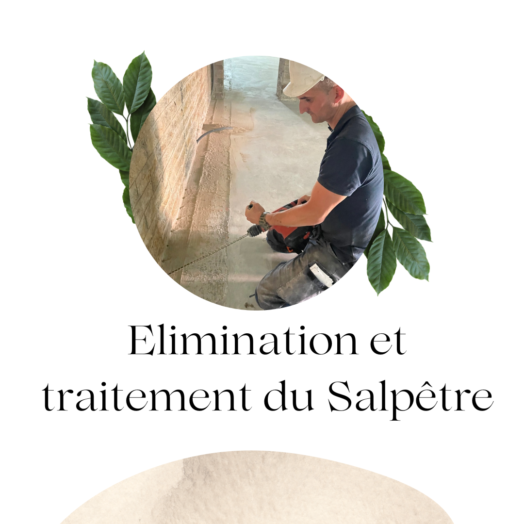 Éliminations et traitements du salpêtr