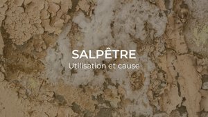 Utilisation et cause du salpêtre